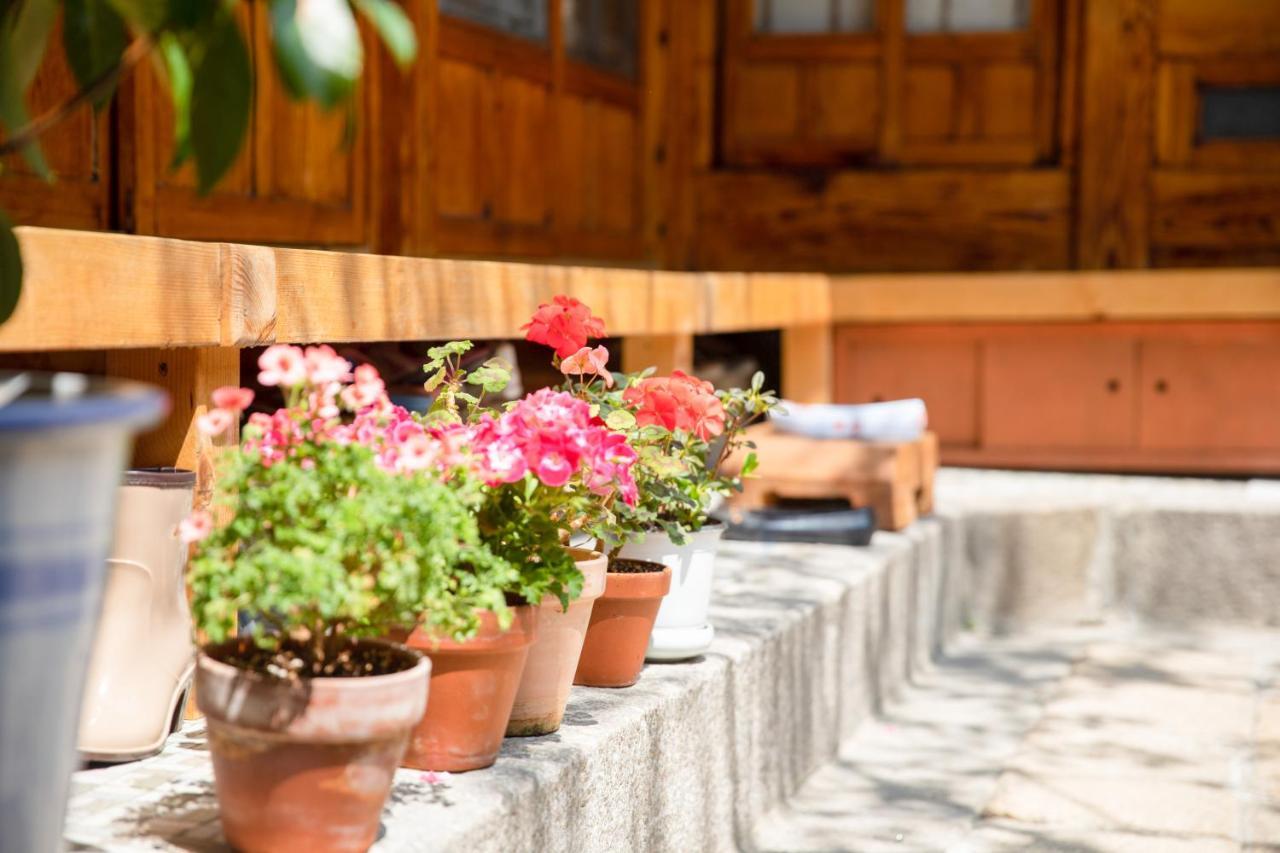 Dongmyo Hanok Sihwadang - Private Korean Style House In The City Center With A Beautiful Garden Сеул Екстер'єр фото
